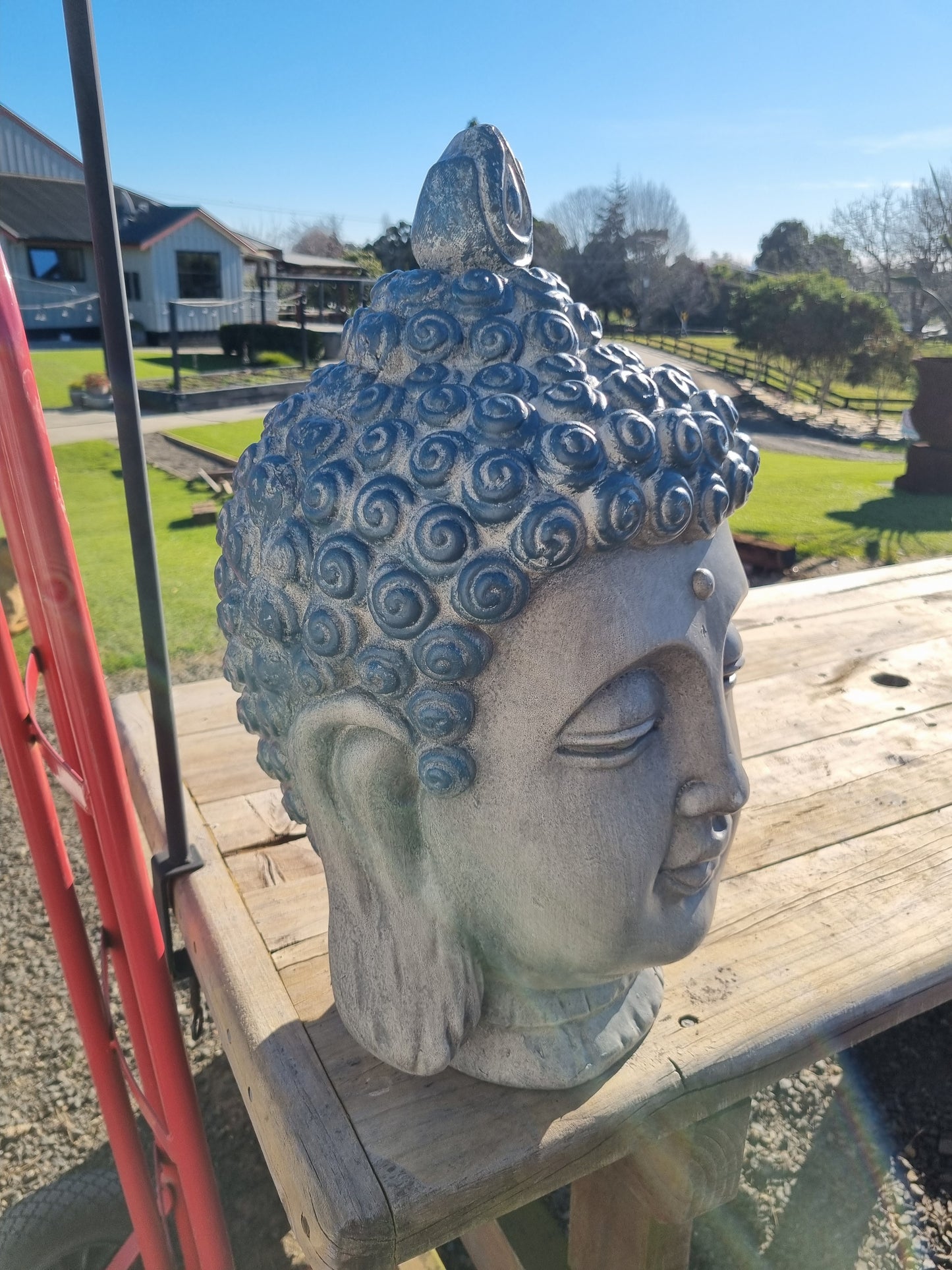 Serenity Buddha Head