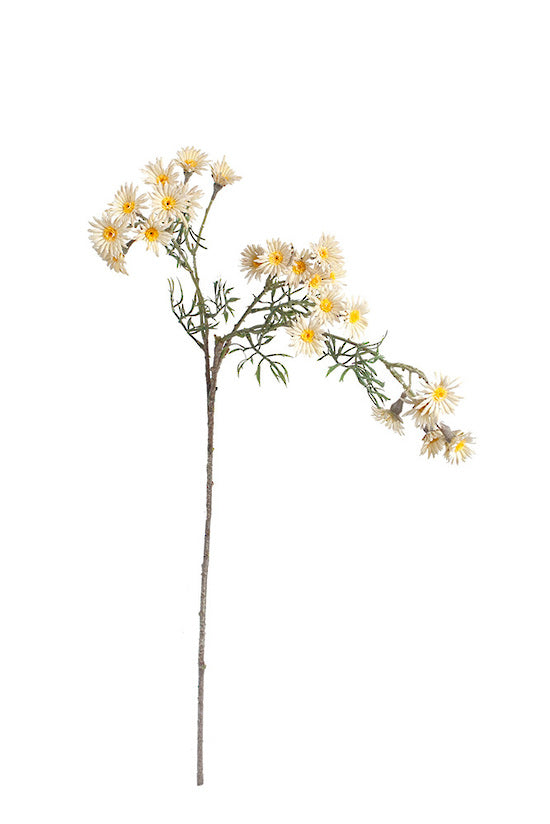 Daisy Spray Cream 89cm