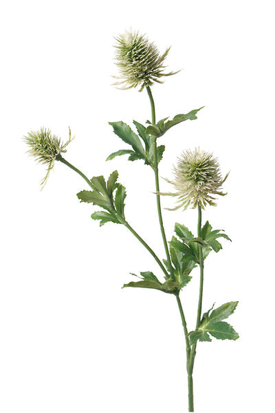 Thistle Spray 63.5cm