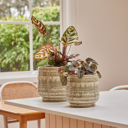 Henna Planters - Taupe