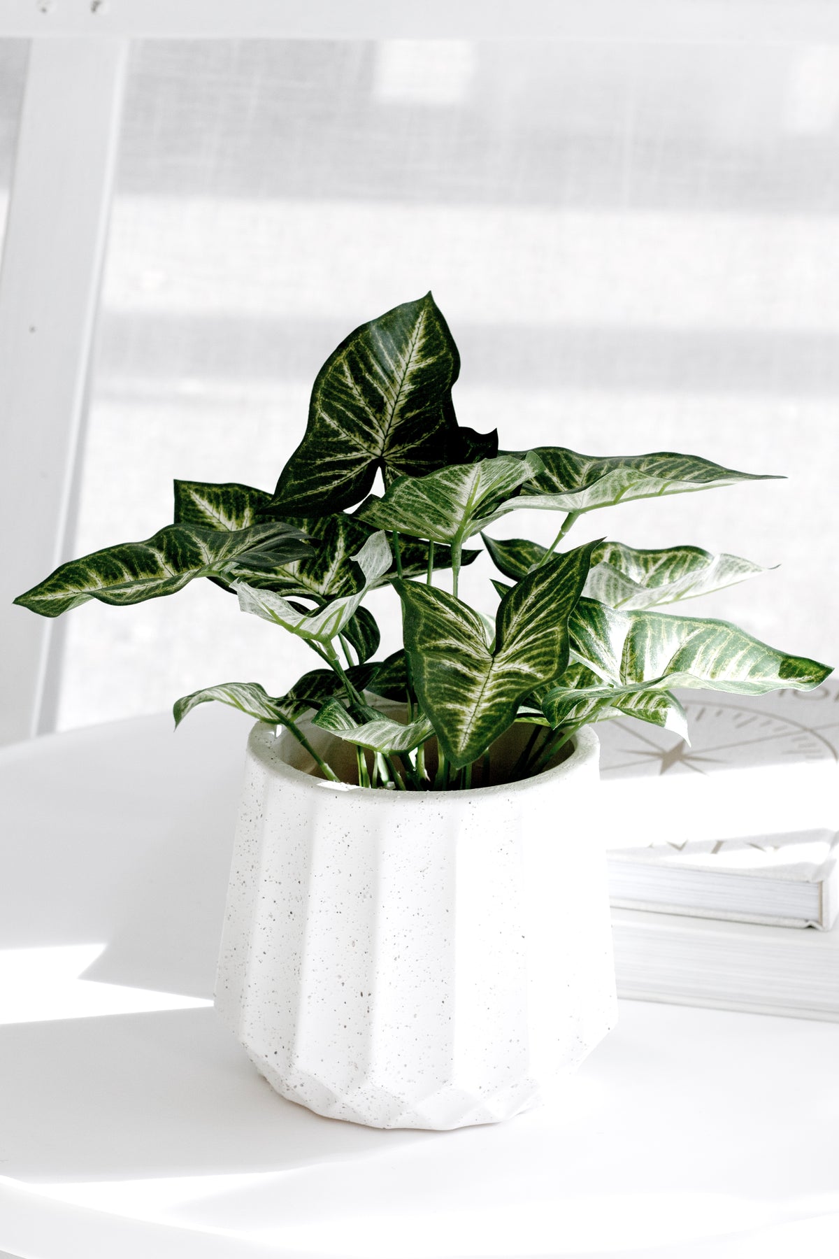 Faux Syngonium Plant in Black Pot – 30cm Potted Faux Plant