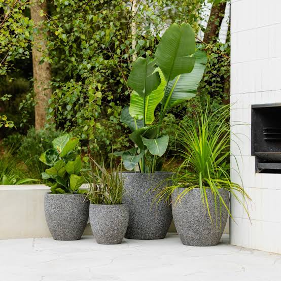 Montague Eggs Pots - Dark Grey Pebble