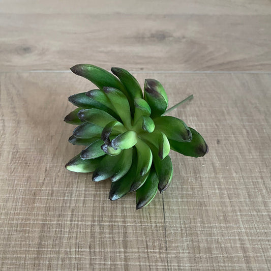 Faux Albiflora Sedum Dark Green