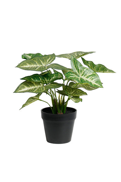 Faux Syngonium Plant in Black Pot – 30cm Potted Faux Plant
