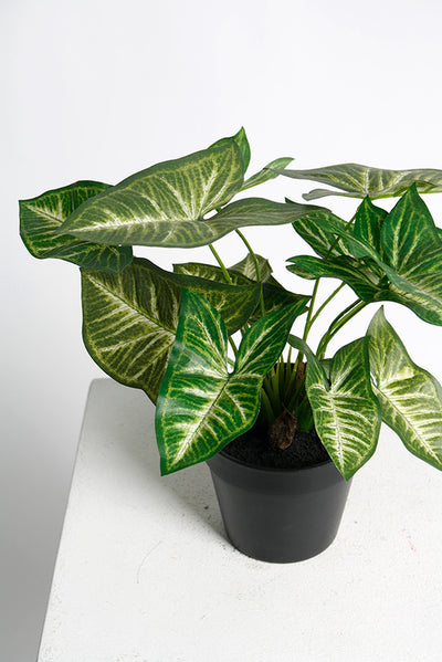 Faux Syngonium Plant in Black Pot – 30cm Potted Faux Plant