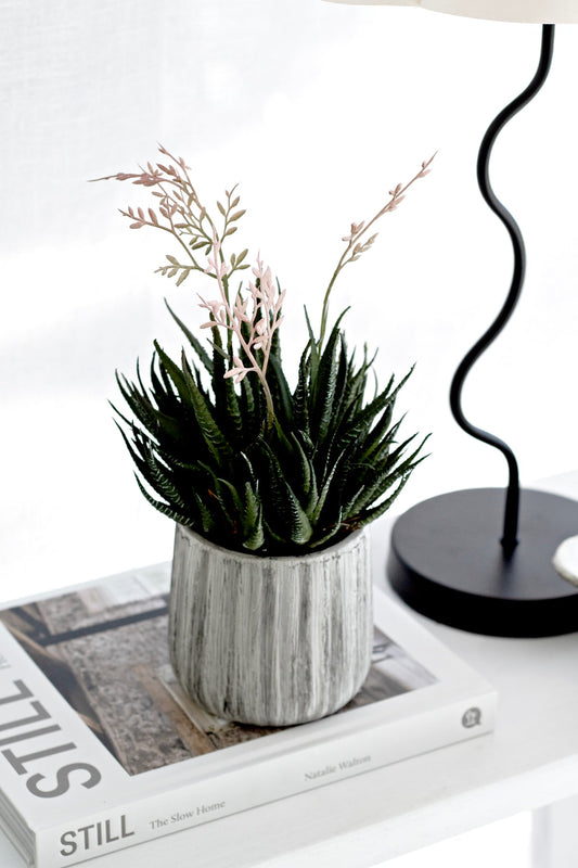 Faux Potted Haworthia 35cm