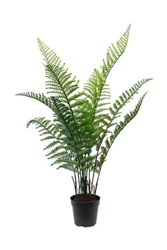 Faux Woodwardia Bush Potted 84cm