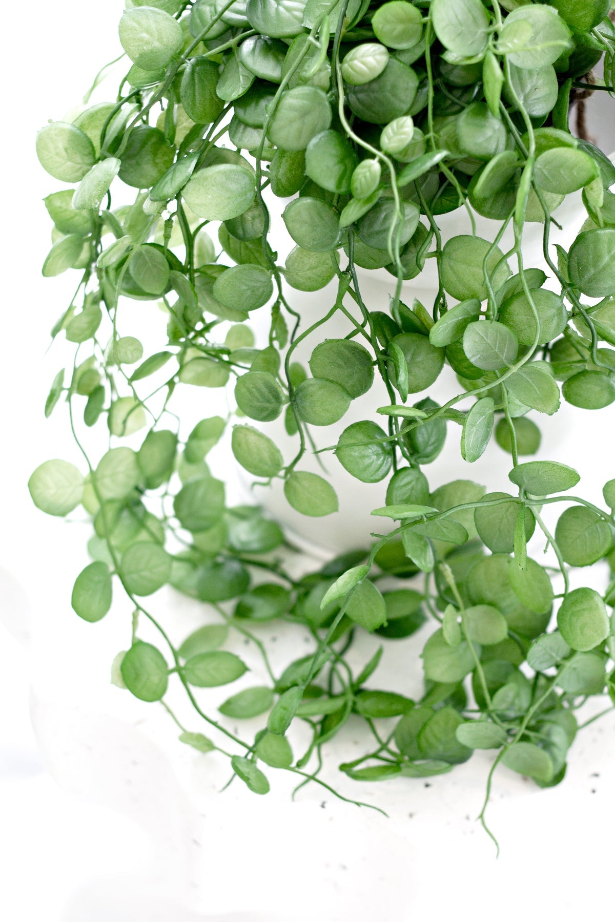 Faux Potted Saxifraga Veitchii – Trailing Faux Plant 74cm