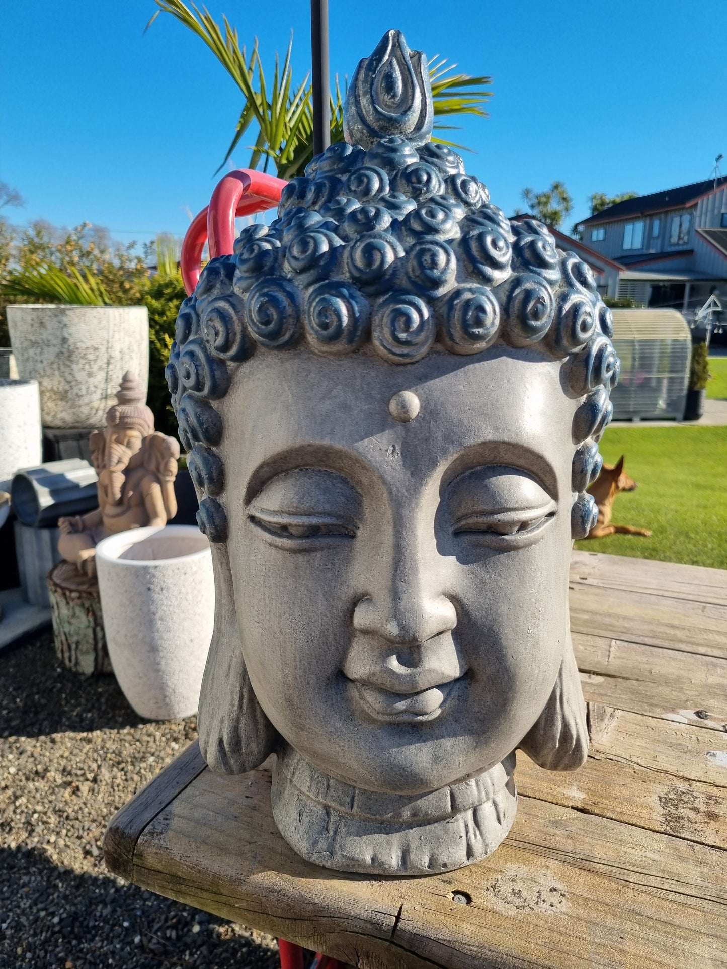Serenity Buddha Head