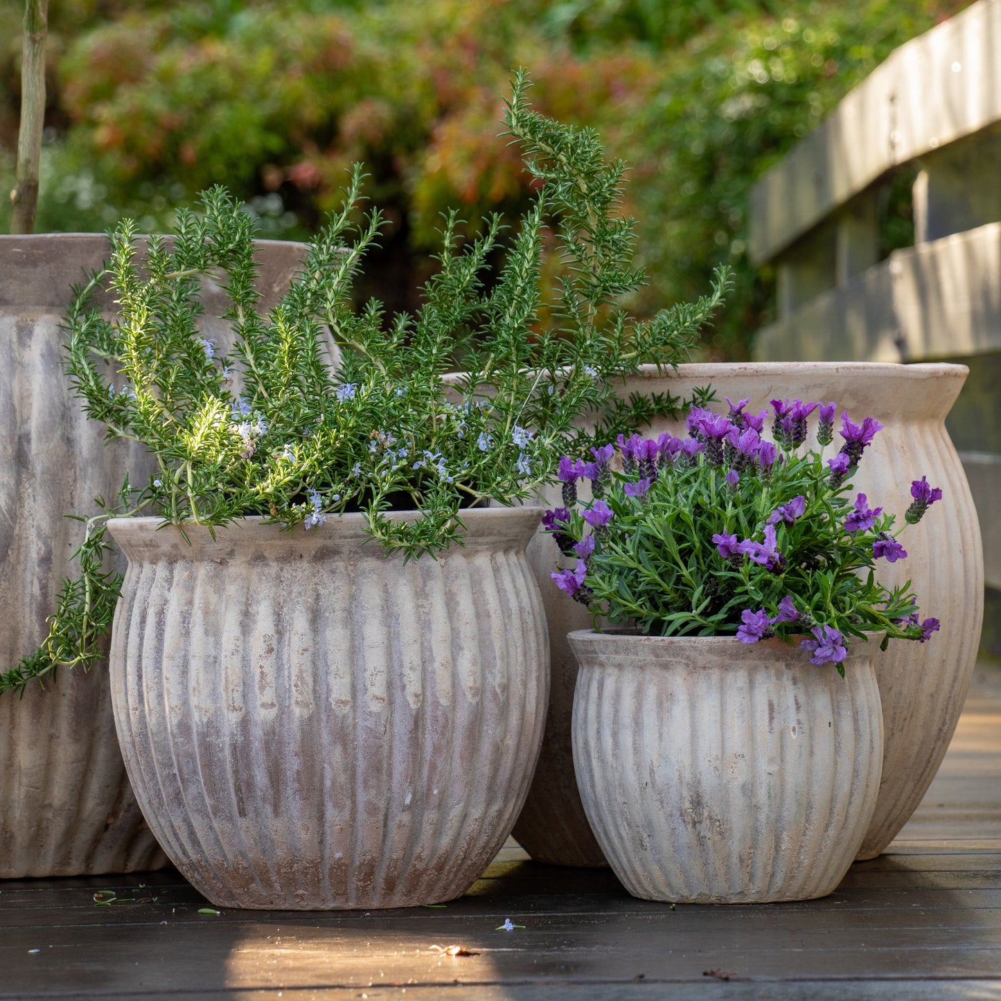 Palermo Threads Belly Pots