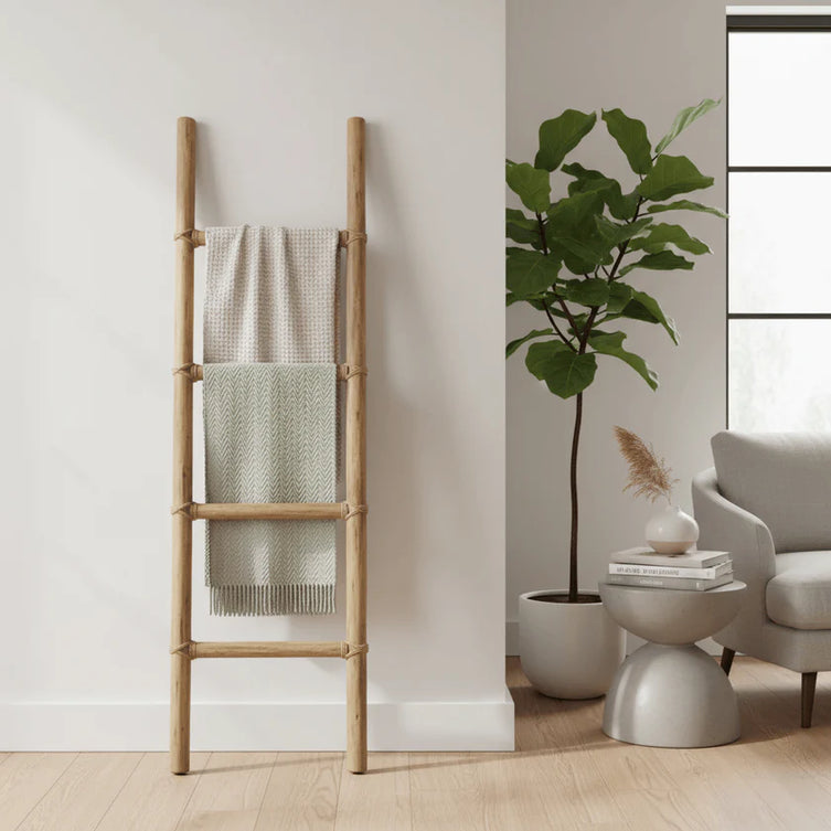 Wooden Ladder