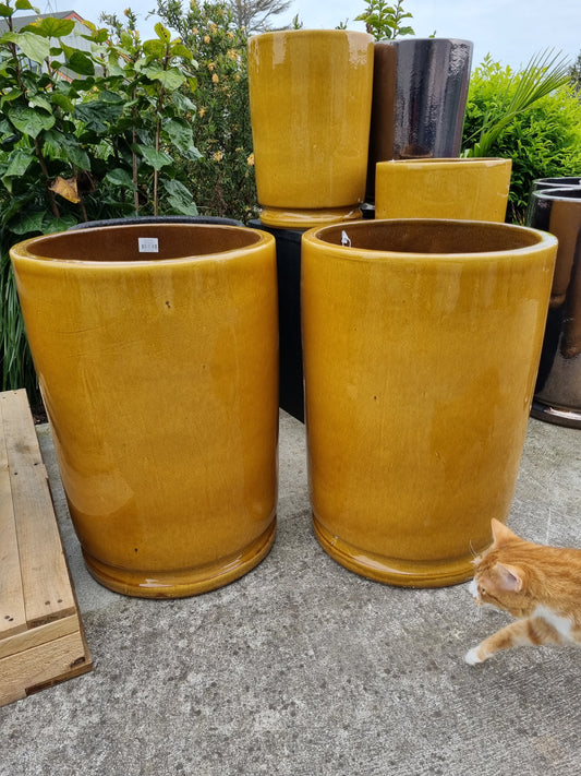 Lustre Tall - Mustard