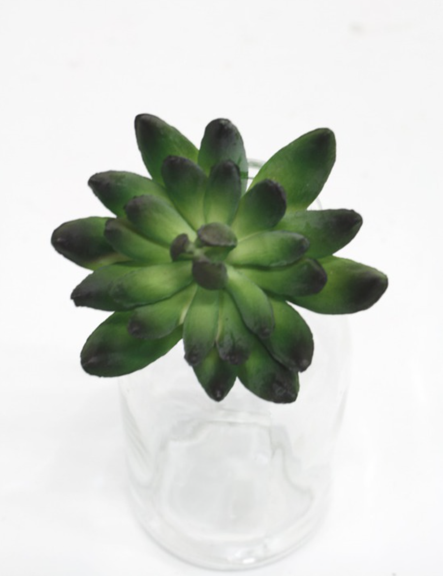 Faux Albiflora Sedum Dark Green