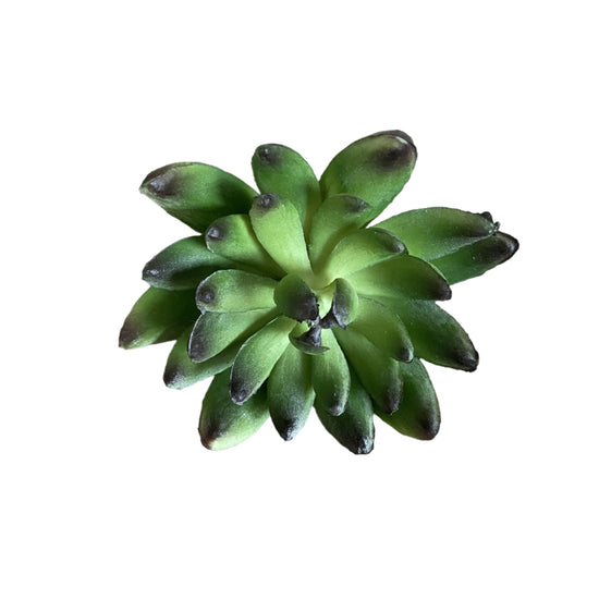 Faux Albiflora Sedum Dark Green