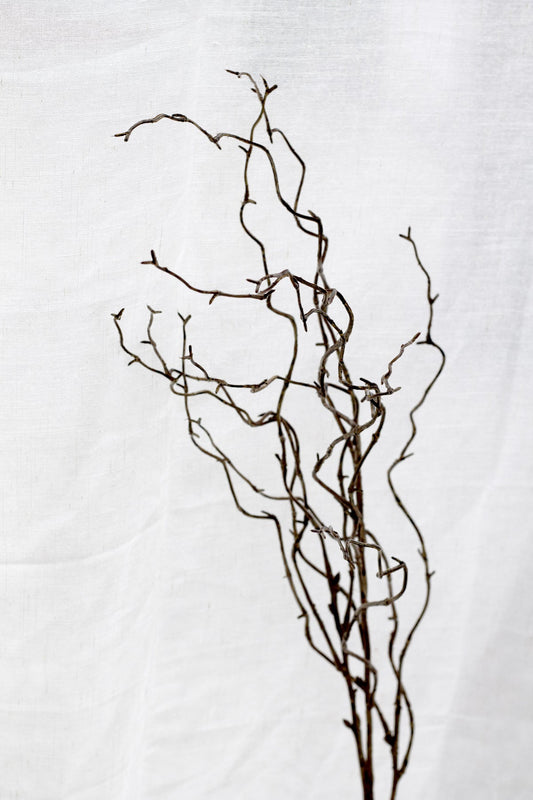 Willow Branch - Brown 1m