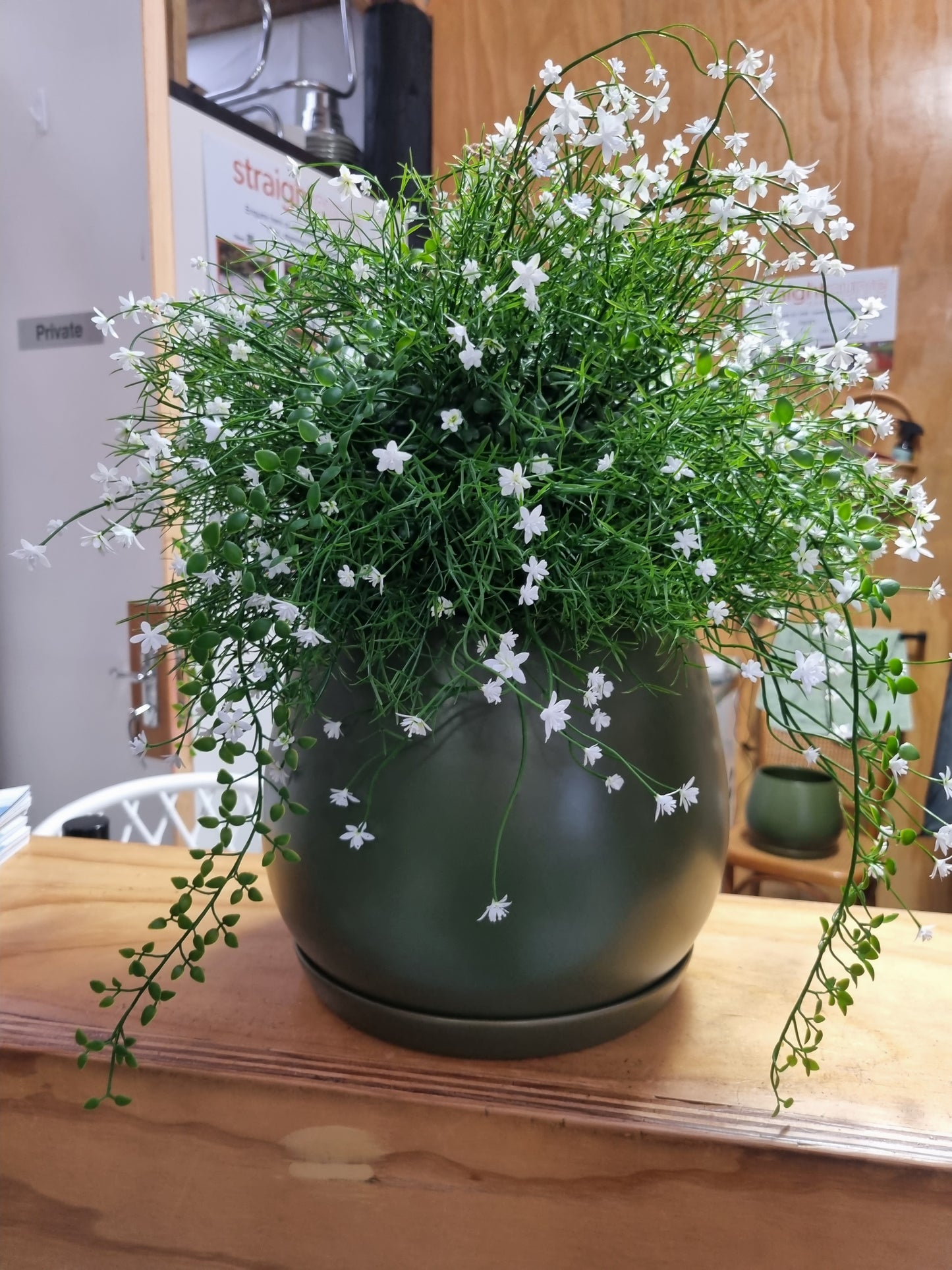 Deep Green Egg Pot and Saucer
