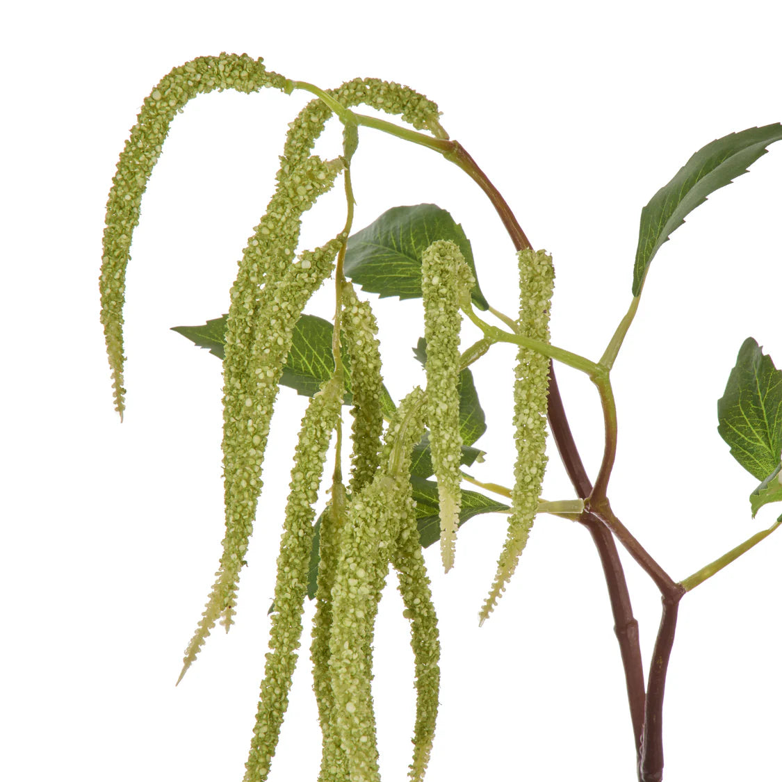 Faux Hanging Amaranthus Spray Green