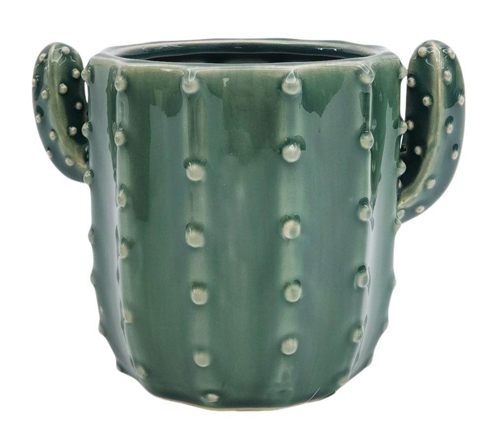 Cactus Planters