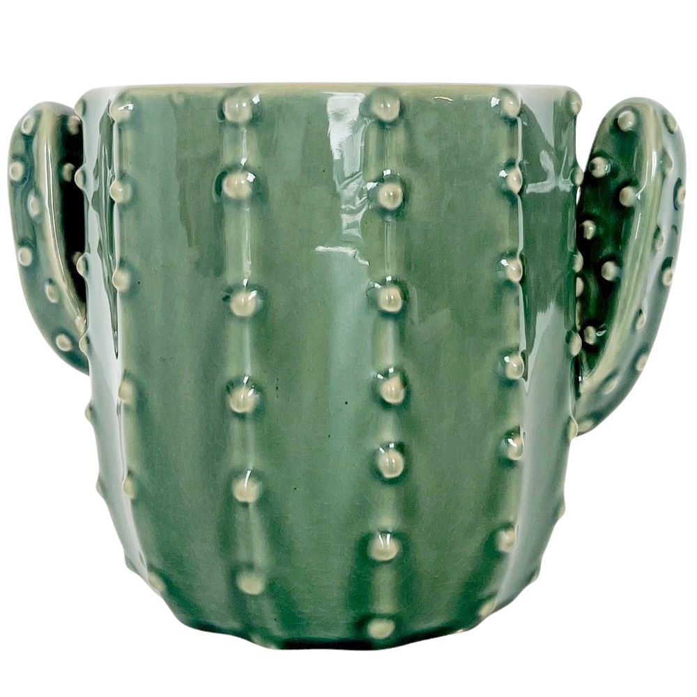Cactus Planters