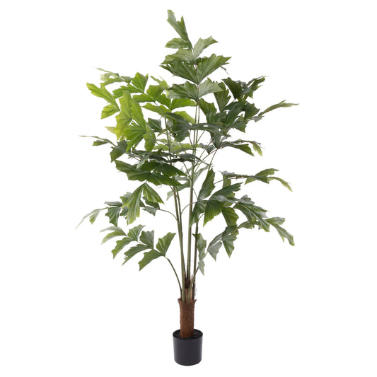 Faux Caryota Palm Tree - Garden Pot Green