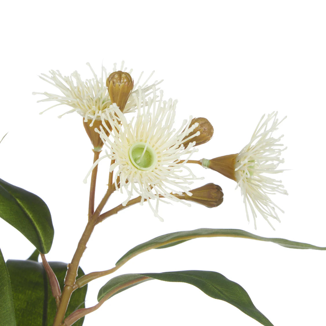 Faux Eucalyptus Wattle Mix in Bottle - Assorted