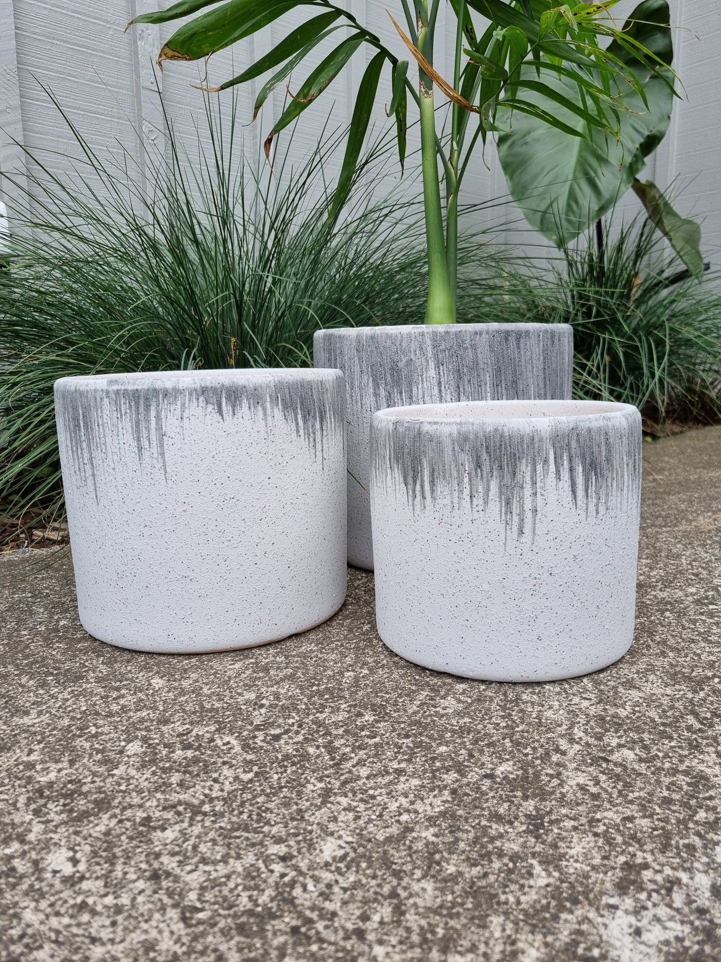 Tasman Planter