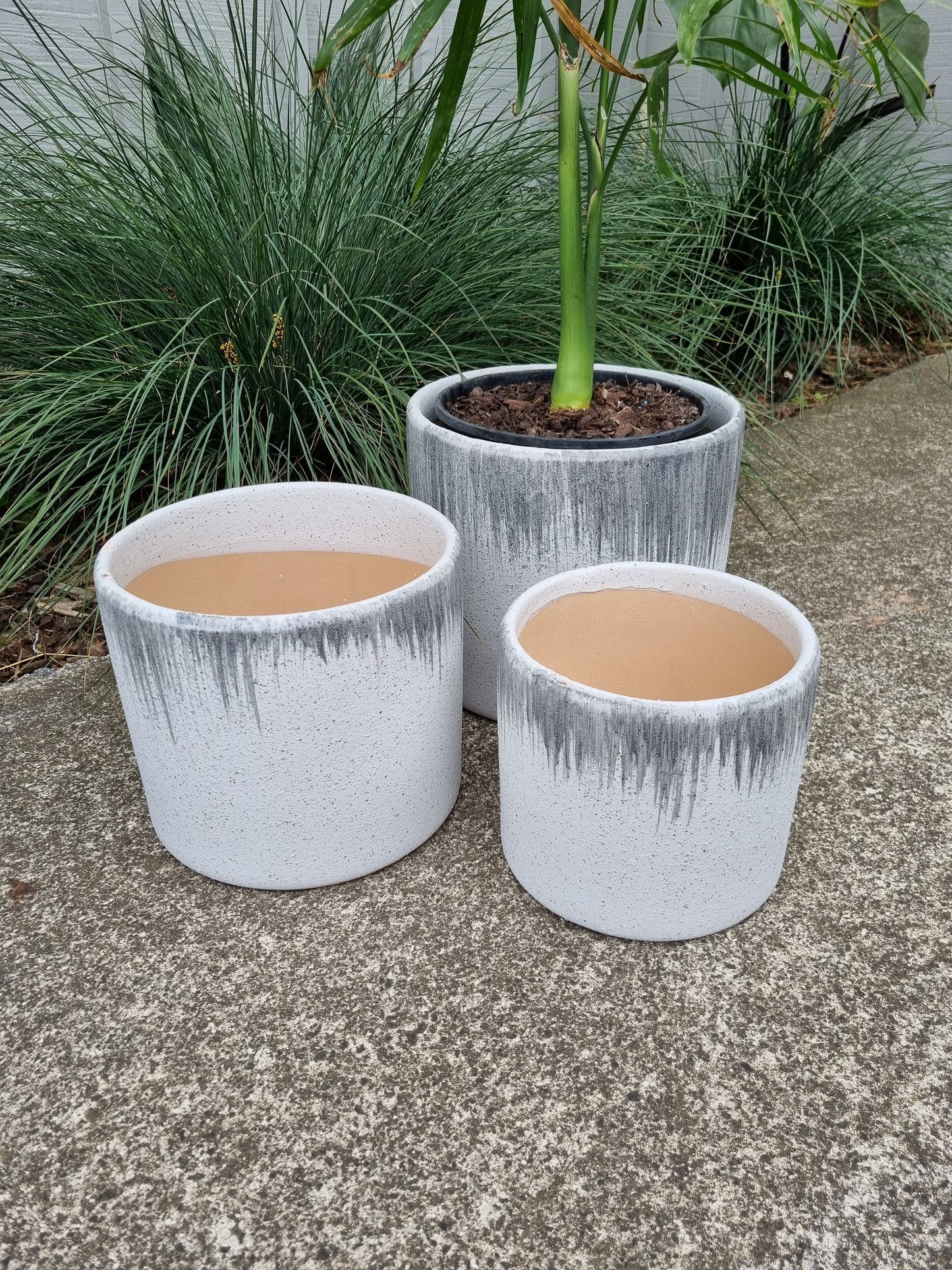 Tasman Planter