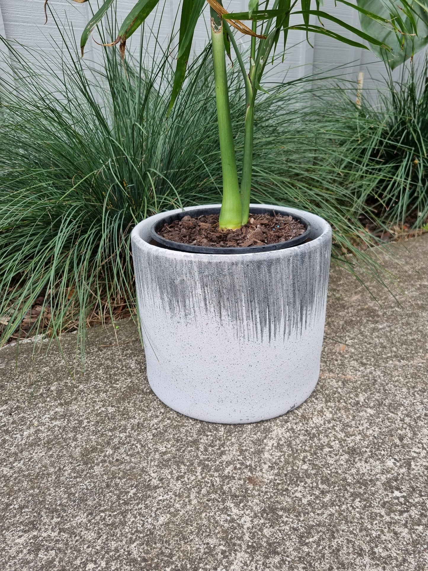 Tasman Planter