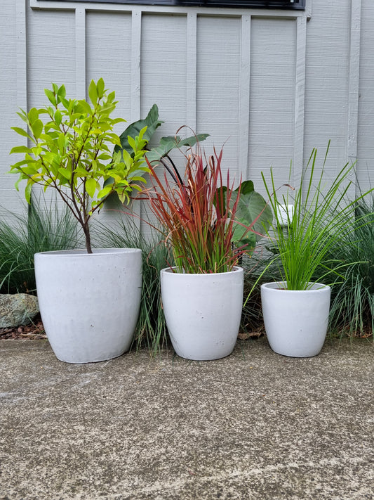 Venice Egg Planters