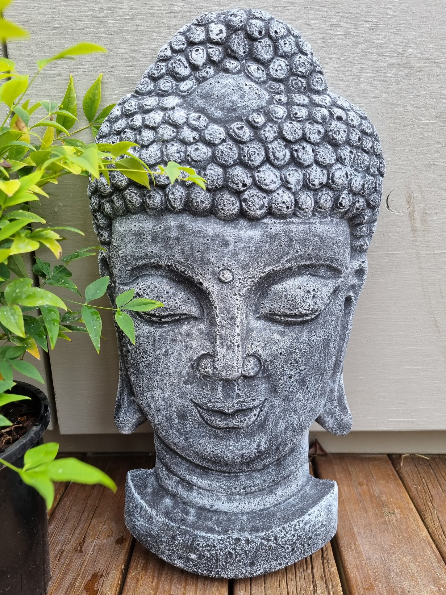 Buddha Head - Grey