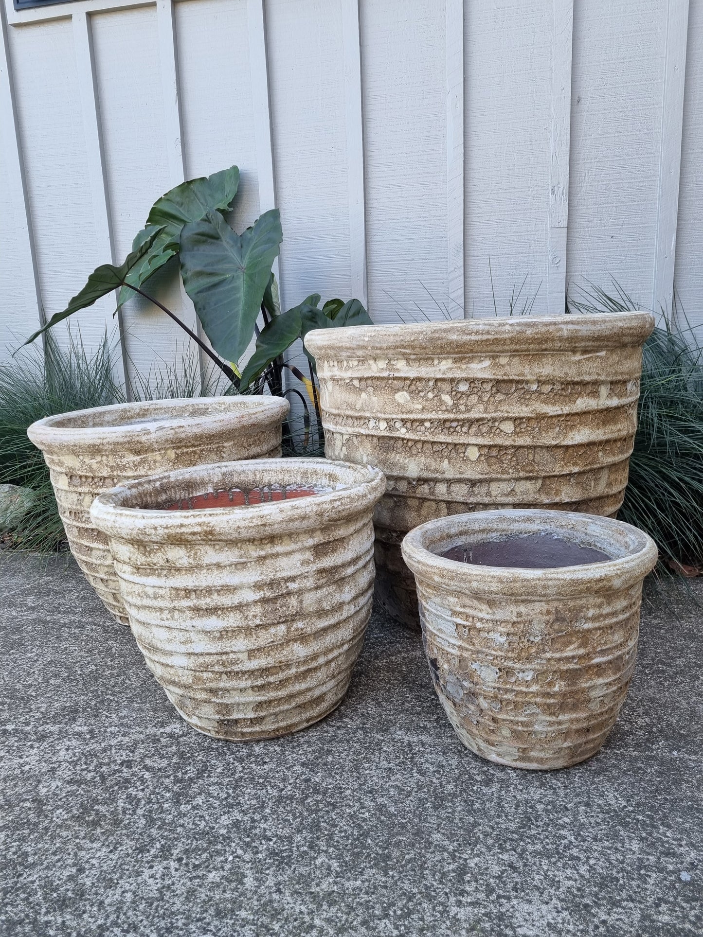 Roll Top Pots - Neutral