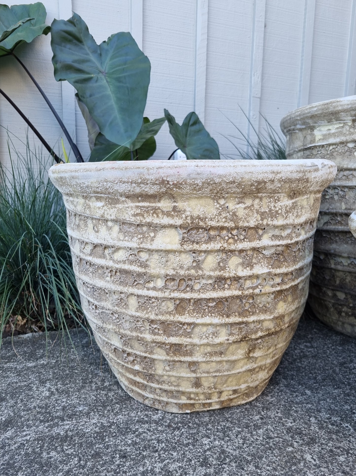 Roll Top Pots - Neutral