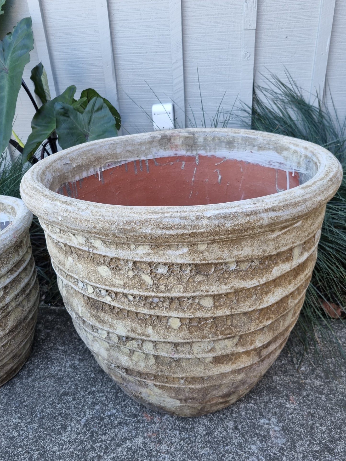 Roll Top Pots - Neutral