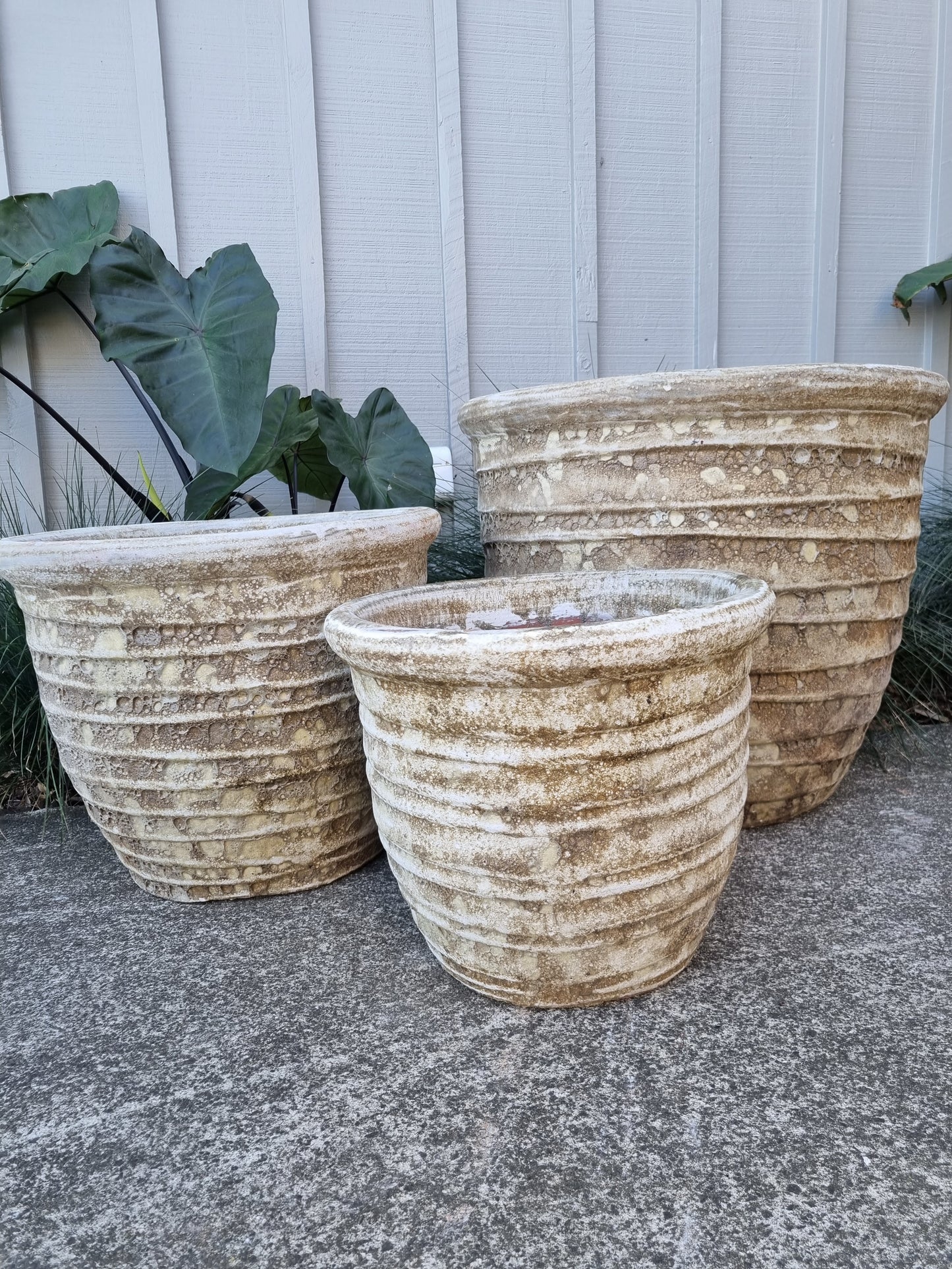 Roll Top Pots - Neutral