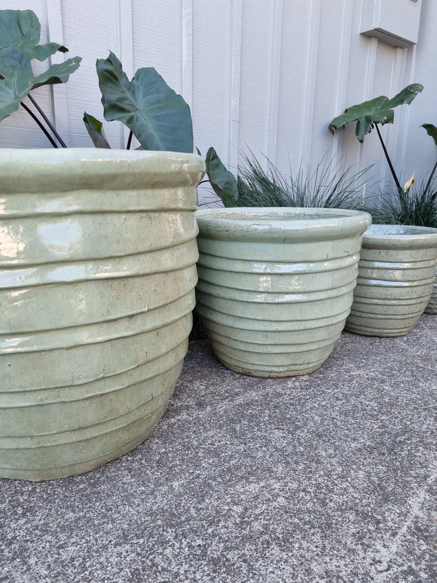 Roll Top Pots - Smooth Green