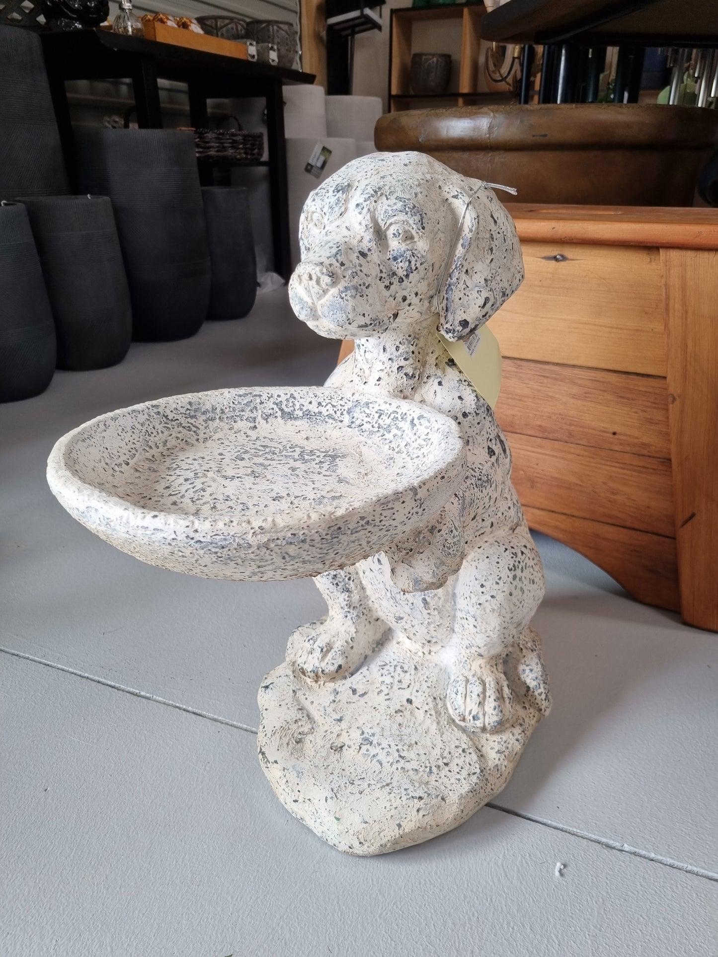 Dog Holding Bird Bath