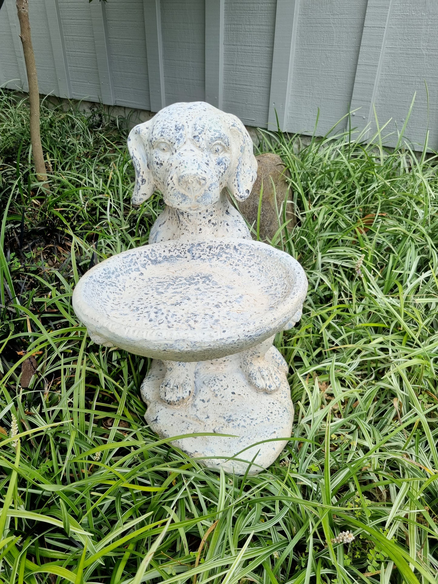 Dog Holding Bird Bath