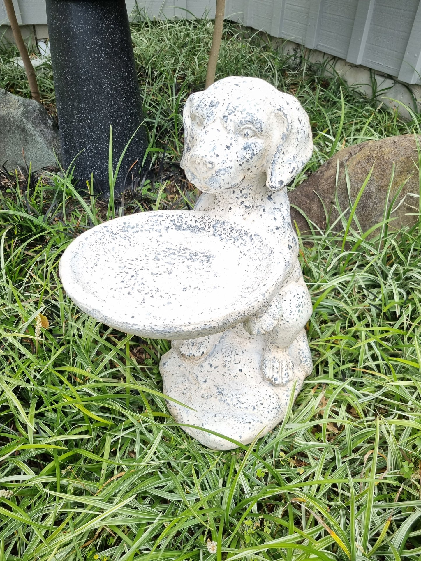 Dog Holding Bird Bath