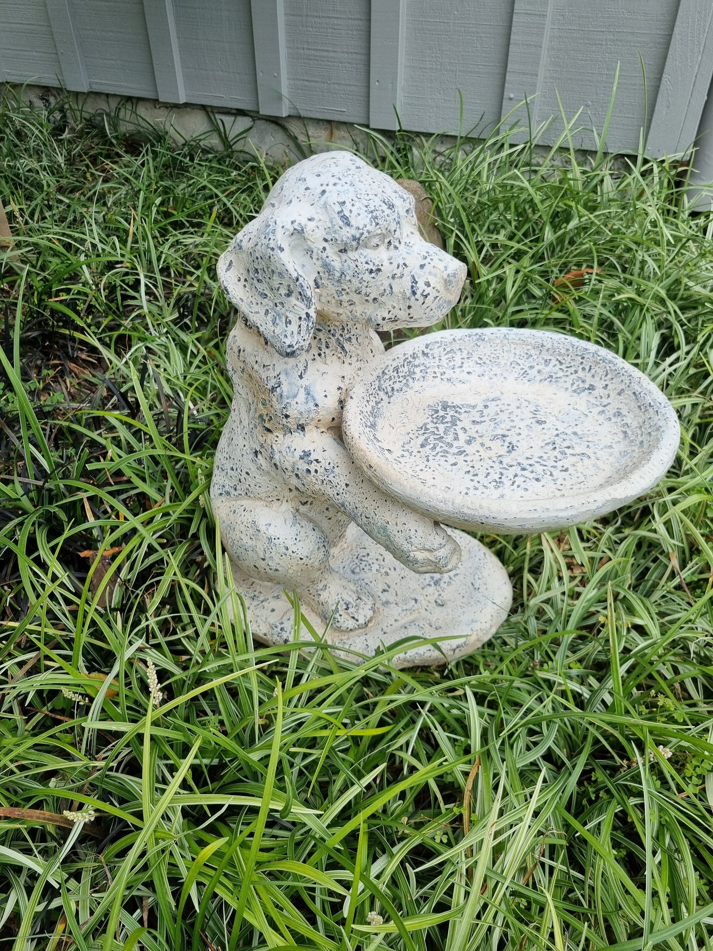 Dog Holding Bird Bath