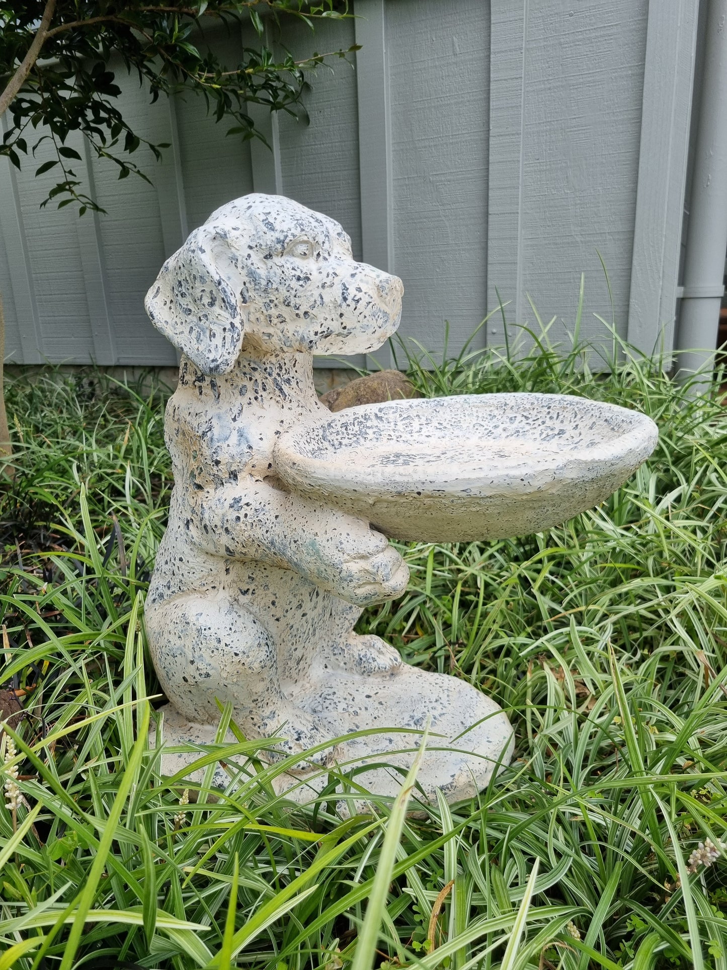 Dog Holding Bird Bath