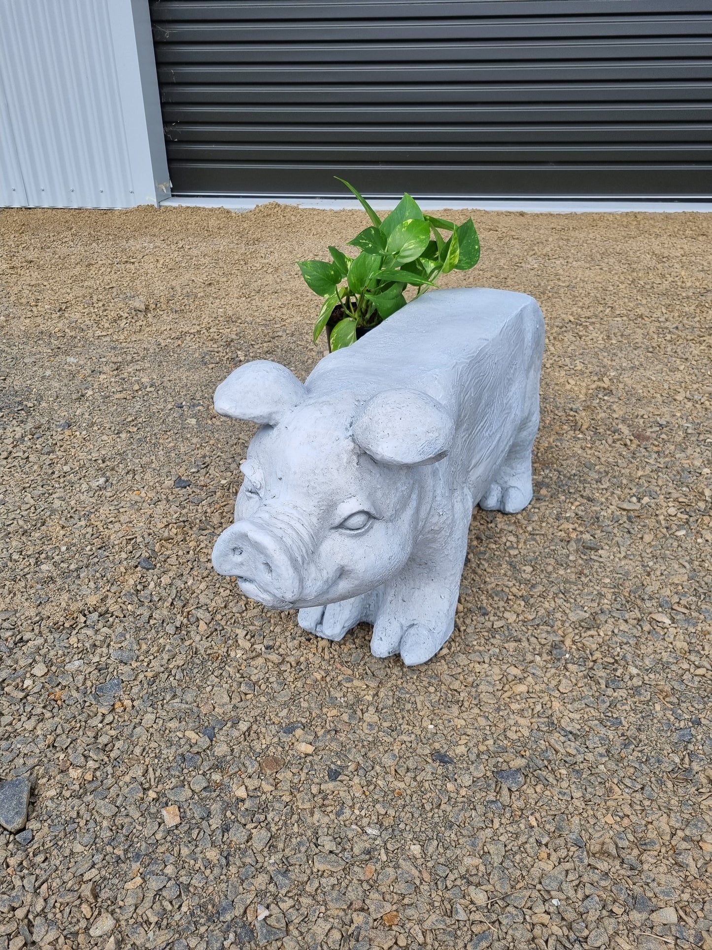 Outdoor Pig Stool