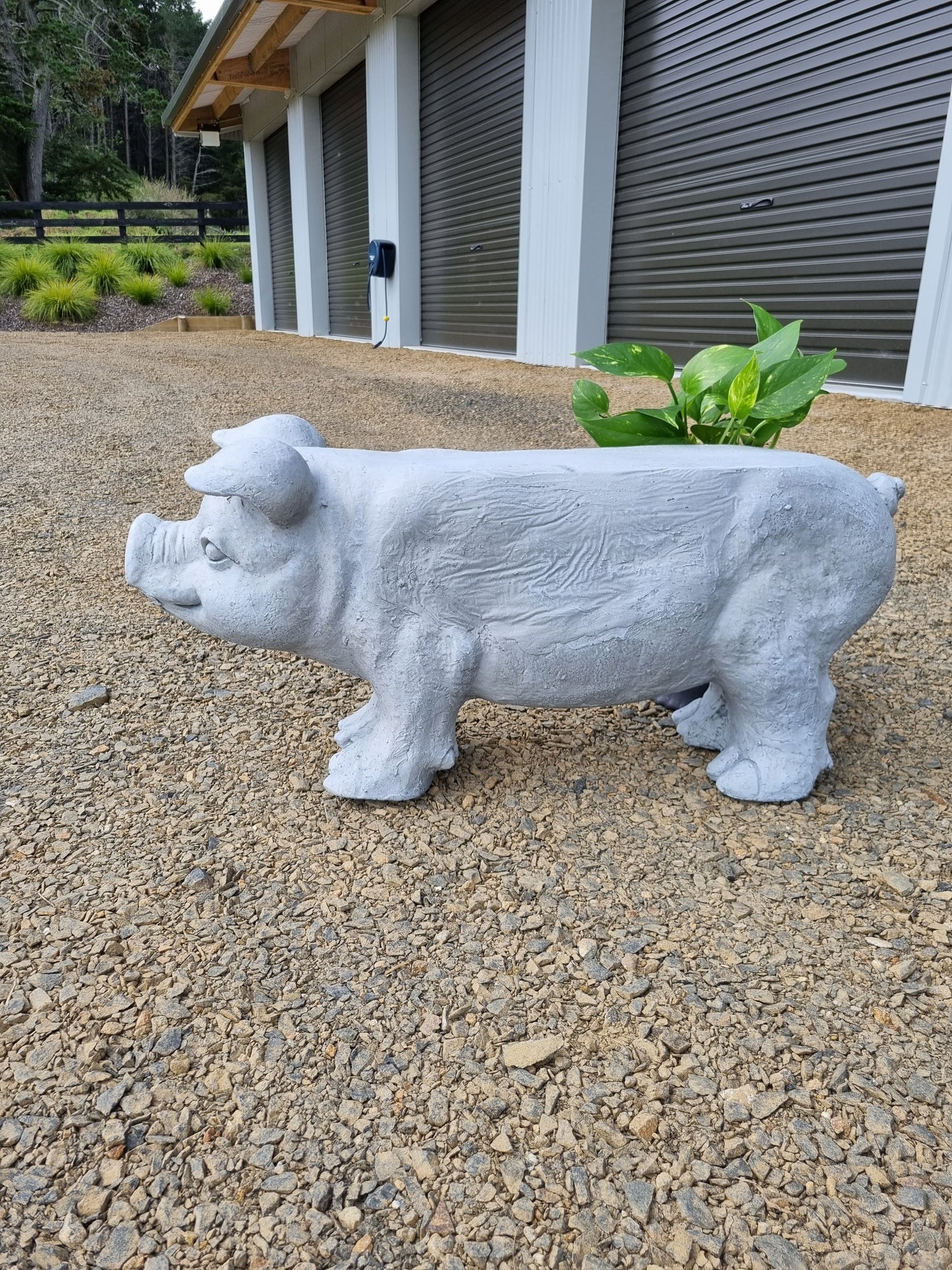 Outdoor Pig Stool