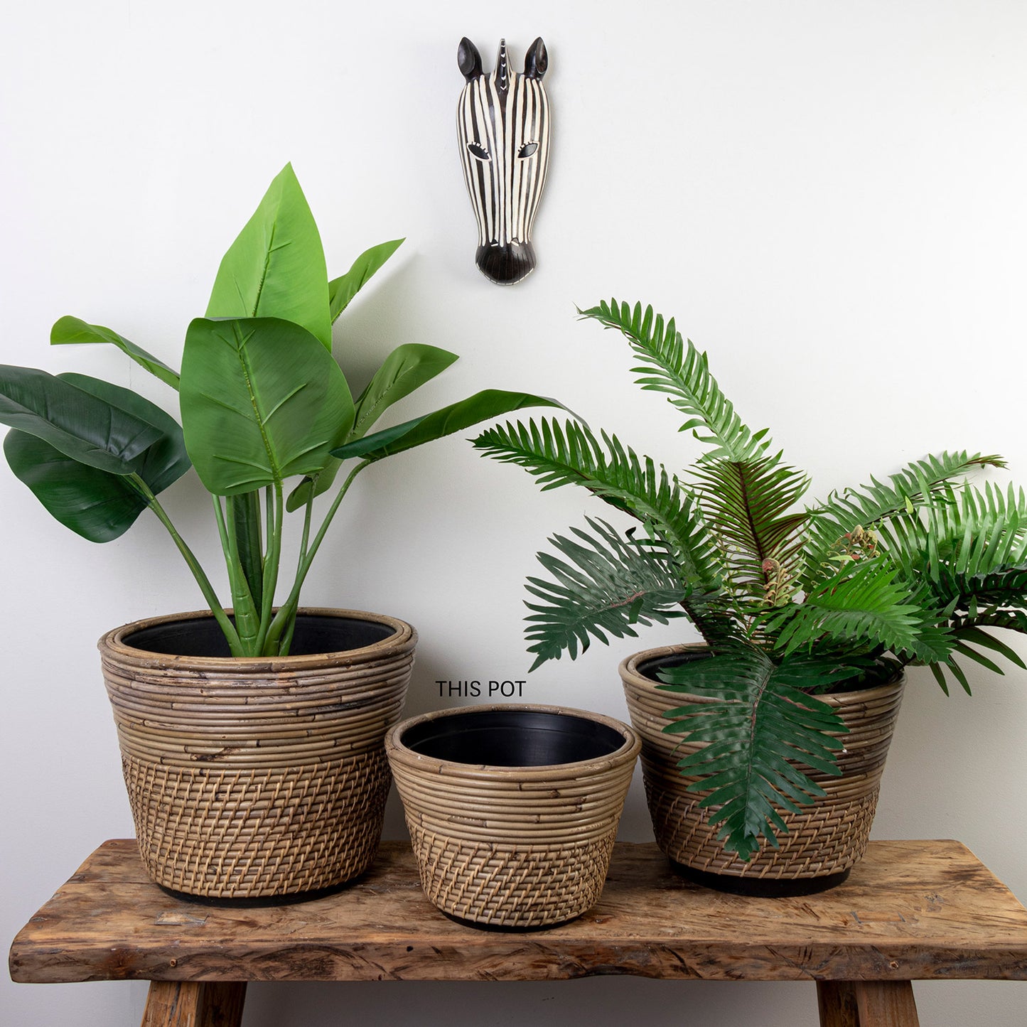 Rattan Dry Pots - 3 Sizes