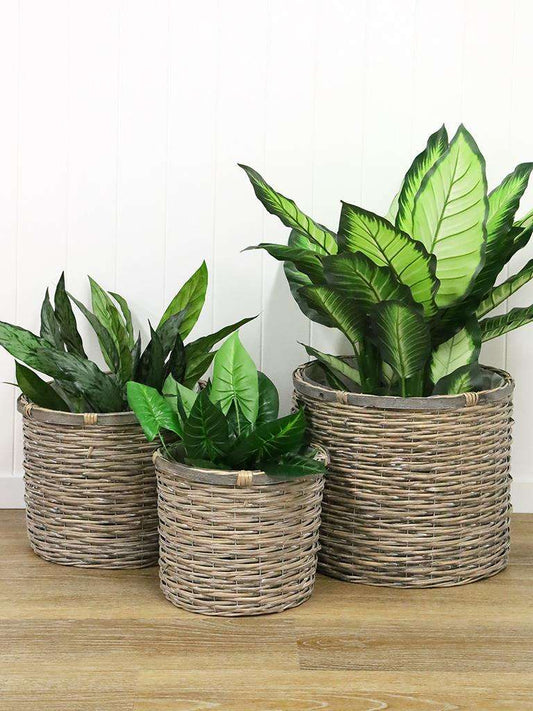 Pandanus Woven Planter Baskets