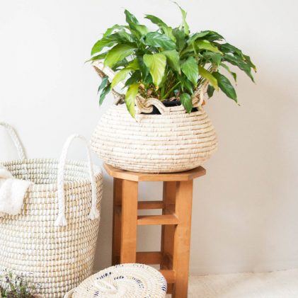 Natural Oval Harvest / Plant Basket (Summer Basket)